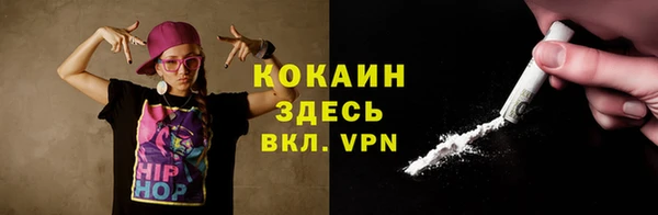 метадон Богданович