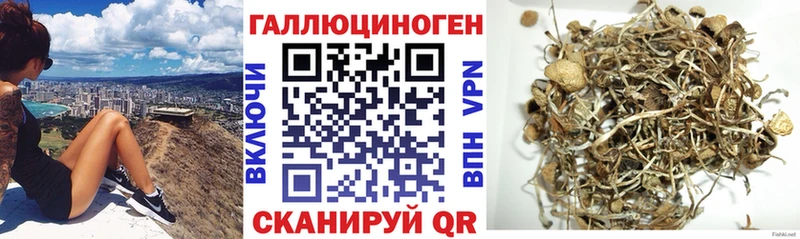 Галлюциногенные грибы прущие грибы  Чудово 