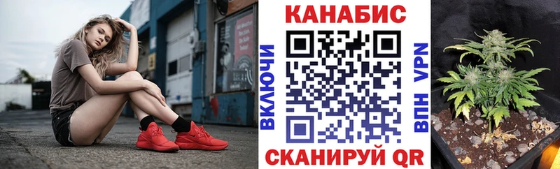 Каннабис ГИДРОПОН  что такое   Чудово 